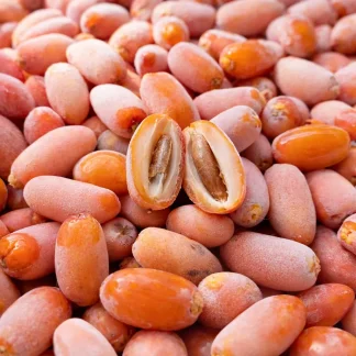 Fresh Frozen Libya Dates